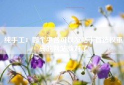 纯手工：哪个平台可以发帖｜首选权重高的网站就对了