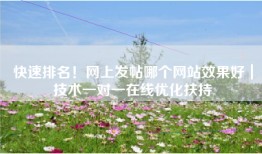 快速排名！网上发帖哪个网站效果好｜技术一对一在线优化扶持