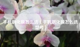 手机钢化膜怎么选（手机钢化膜怎么选型号）