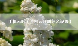 手机云呼（手机云呼叫怎么设置）