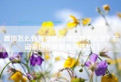 置顶怎么恢复删除的微信聊天记录？忘记备份也能恢复精选热门