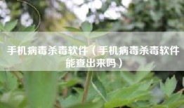 手机病毒杀毒软件（手机病毒杀毒软件能查出来吗）
