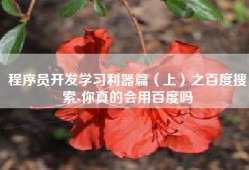 程序员开发学习利器篇（上）之百度搜索-你真的会用百度吗