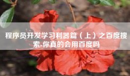 程序员开发学习利器篇（上）之百度搜索-你真的会用百度吗