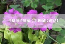 手机照片管家（手机图片管家）