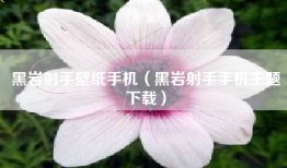 黑岩射手壁纸手机（黑岩射手手机主题下载）