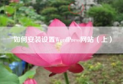 如何安装设置WordPress网站（上）