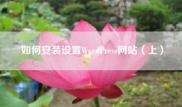 如何安装设置WordPress网站（上）