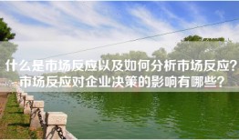什么是市场反应以及如何分析市场反应？市场反应对企业决策的影响有哪些？