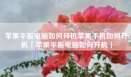 苹果平板电脑如何开机苹果手机如何开机「苹果平板电脑如何开机」