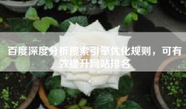 百度深度分析搜索引擎优化规则，可有效提升网站排名