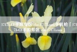 17173-CF手游专区 cfm.17173.com手机枪「17173-CF手游专区 cfm.17173.com」