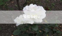 疫情中的AI