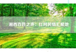 湘西百姓之声：红网民情汇聚地