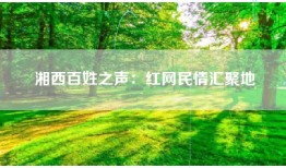 湘西百姓之声：红网民情汇聚地