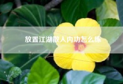 放置江湖散人内功怎么练