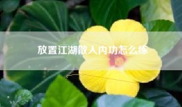 放置江湖散人内功怎么练