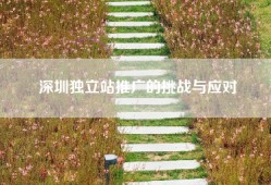 深圳独立站推广的挑战与应对