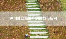 深圳独立站推广的挑战与应对