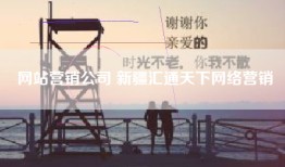 网站营销公司 新疆汇通天下网络营销
