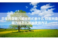 百度网盘磁力前缀格式是什么 百度网盘磁力链怎么添加使用方法