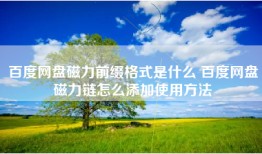 百度网盘磁力前缀格式是什么 百度网盘磁力链怎么添加使用方法