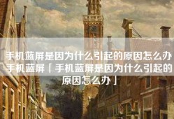 手机蓝屏是因为什么引起的原因怎么办手机蓝屏「手机蓝屏是因为什么引起的原因怎么办」