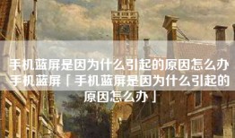 手机蓝屏是因为什么引起的原因怎么办手机蓝屏「手机蓝屏是因为什么引起的原因怎么办」