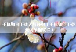 手机如何下载天气预报（手机如何下载天气预报软件）