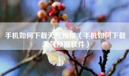 手机如何下载天气预报（手机如何下载天气预报软件）