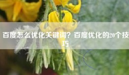 百度怎么优化关键词？百度优化的20个技巧