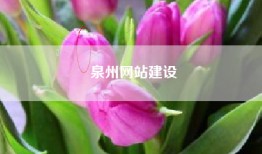 泉州网站建设