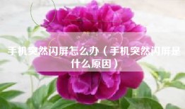 手机突然闪屏怎么办（手机突然闪屏是什么原因）