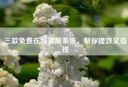 三款免费在线客服系统，帮你提效又省钱