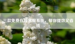 三款免费在线客服系统，帮你提效又省钱