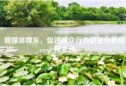 新媒体娱乐，促进观众行为数据分析应用之道