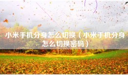 小米手机分身怎么切换（小米手机分身怎么切换密码）