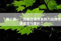＂推三返一：创新营销体系助力品牌快速裂变与增长＂
