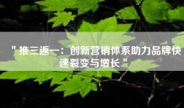 ＂推三返一：创新营销体系助力品牌快速裂变与增长＂