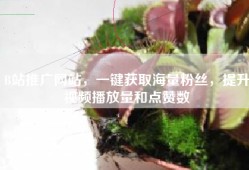 B站推广网站，一键获取海量粉丝，提升视频播放量和点赞数