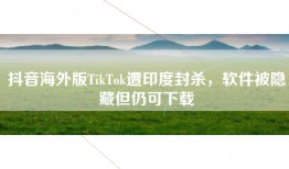 抖音海外版TikTok遭印度封杀，软件被隐藏但仍可下载