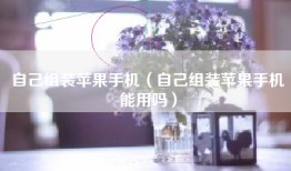 自己组装苹果手机（自己组装苹果手机能用吗）