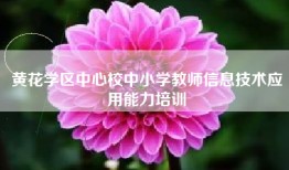 黄花学区中心校中小学教师信息技术应用能力培训