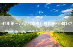 利用第三方平台做推广要如何SEO优化？