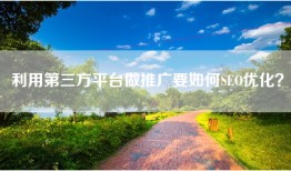 利用第三方平台做推广要如何SEO优化？