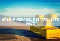 选择正确的营销短信套餐：优化你的营销预算