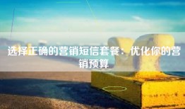 选择正确的营销短信套餐：优化你的营销预算