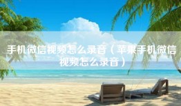 手机微信视频怎么录音（苹果手机微信视频怎么录音）