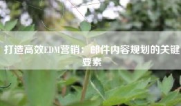打造高效EDM营销：邮件内容规划的关键要素