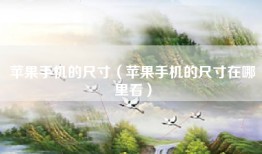 苹果手机的尺寸（苹果手机的尺寸在哪里看）